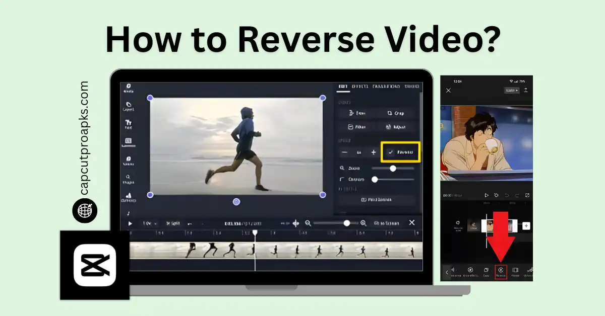 Reverse Video in CapCut 2026 - Easy Hack That Makes Videos Look Pro 1 Reverse Video in CapCut