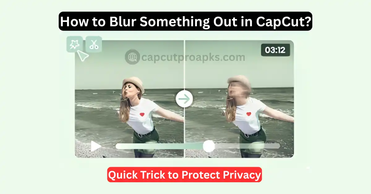 How to Blur Something Out in CapCut: Quick Trick to Protect Privacy 1 Blur Something Out in CapCut