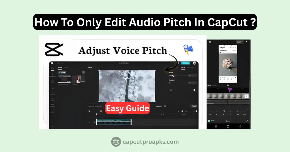 How To Only Edit Audio Pitch In CapCut – Easy 2026 Guide 1 How To Only Edit Audio Pitch In CapCut